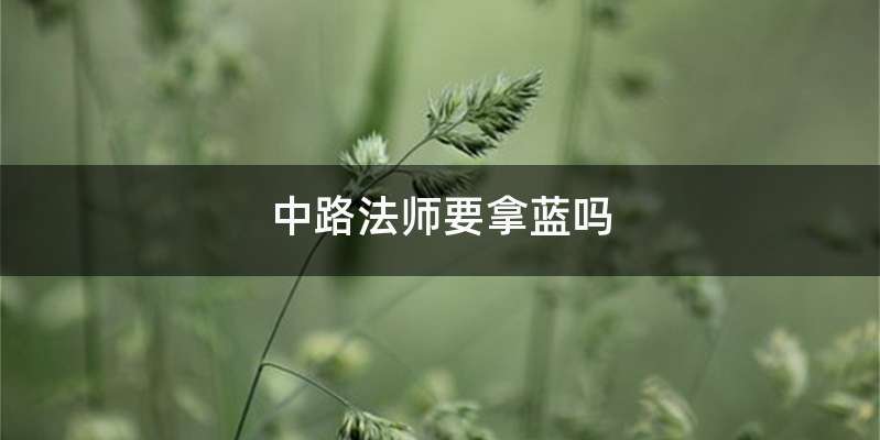 中路法师要拿蓝吗