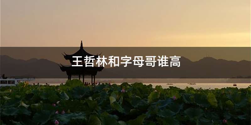 王哲林和字母哥谁高