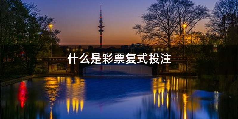 什么是彩票复式投注