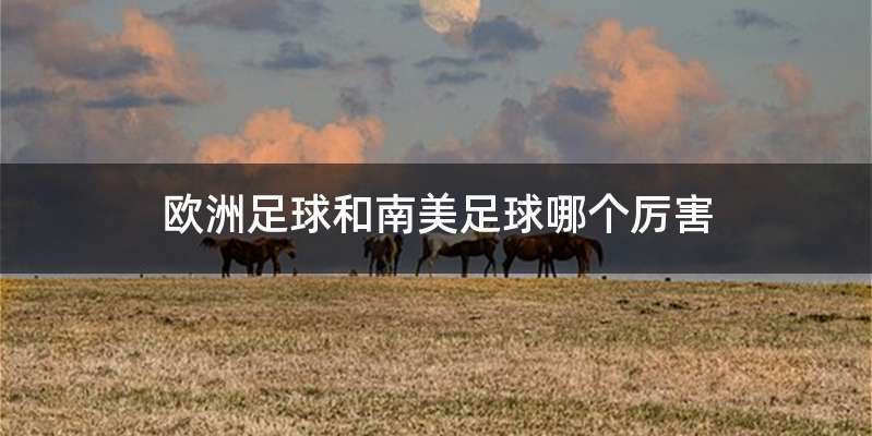欧洲足球和南美足球哪个厉害