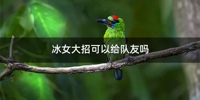 冰女大招可以给队友吗