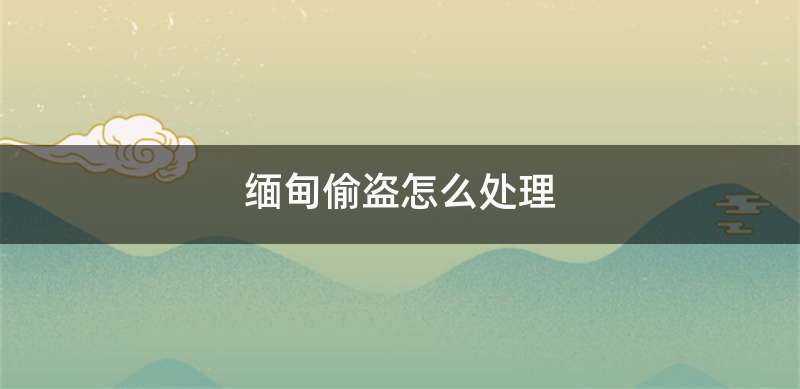 缅甸偷盗怎么处理