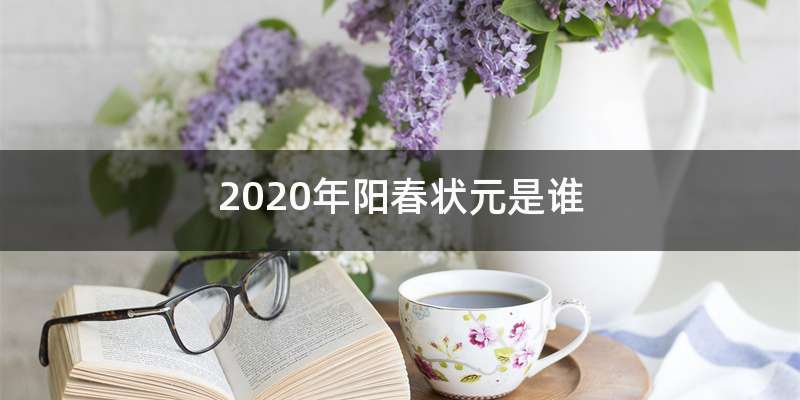 2020年阳春状元是谁