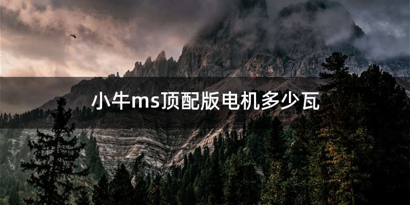 小牛ms顶配版电机多少瓦