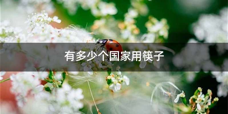 有多少个国家用筷子
