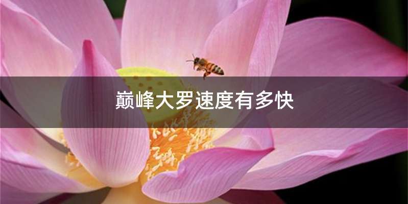 巅峰大罗速度有多快