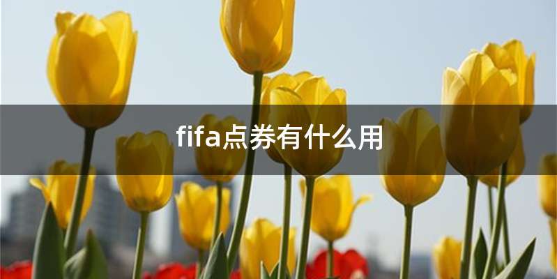 fifa点券有什么用