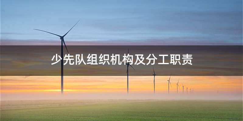 少先队组织机构及分工职责