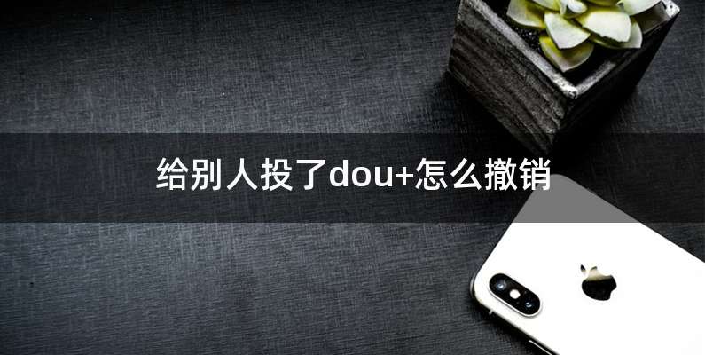 给别人投了dou+怎么撤销