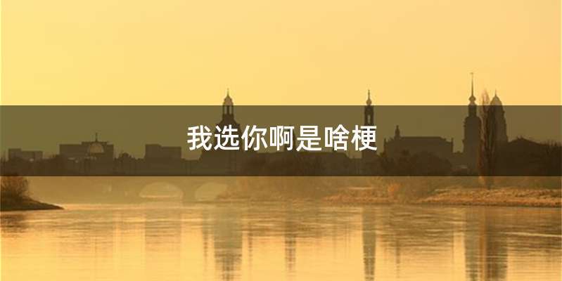我选你啊是啥梗