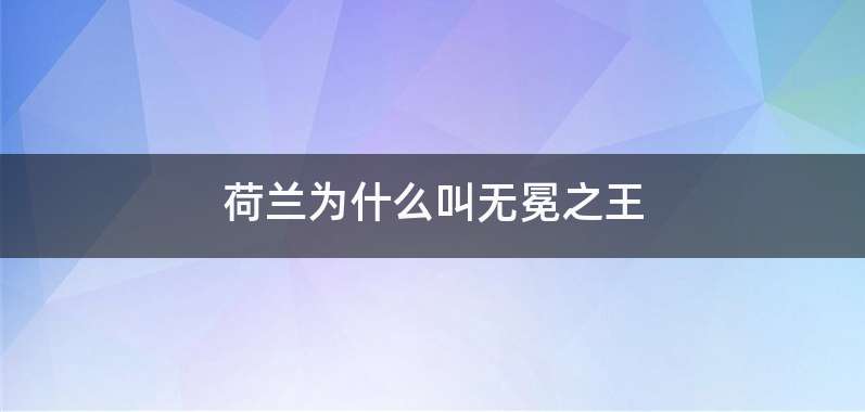 荷兰为什么叫无冕之王