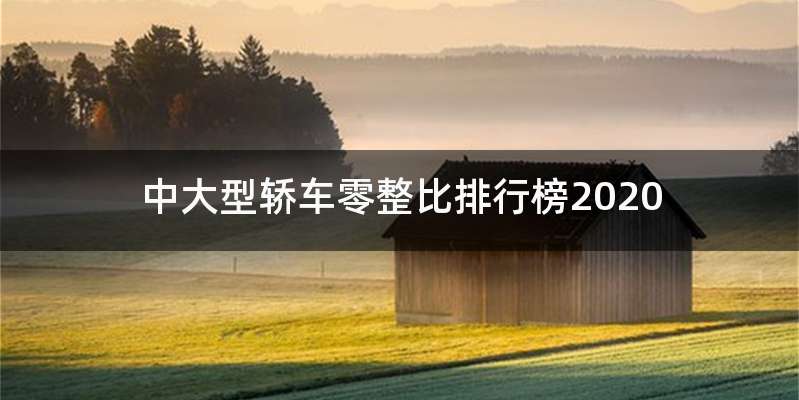 中大型轿车零整比排行榜2020