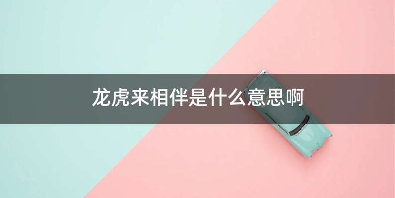 龙虎来相伴是什么意思啊