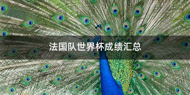 法国队世界杯成绩汇总