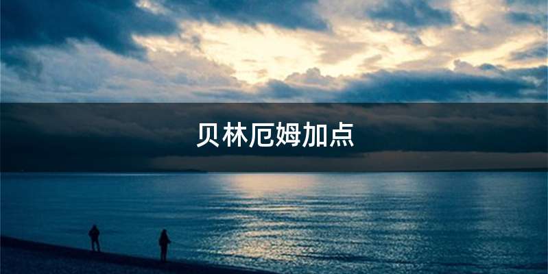 贝林厄姆加点