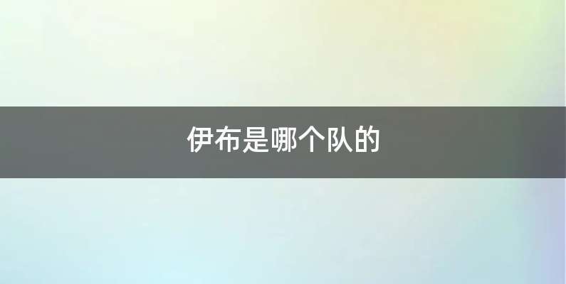 伊布是哪个队的