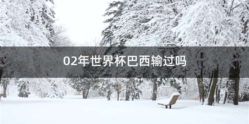 02年世界杯巴西输过吗