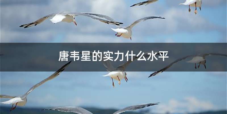 唐韦星的实力什么水平