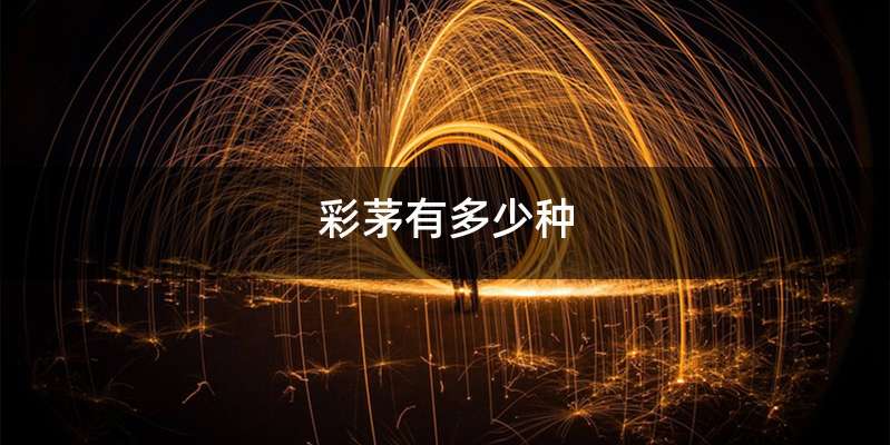 彩茅有多少种