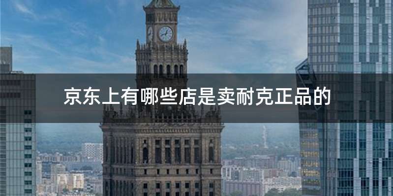 京东上有哪些店是卖耐克正品的