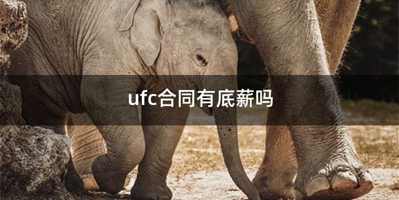 ufc合同有底薪吗