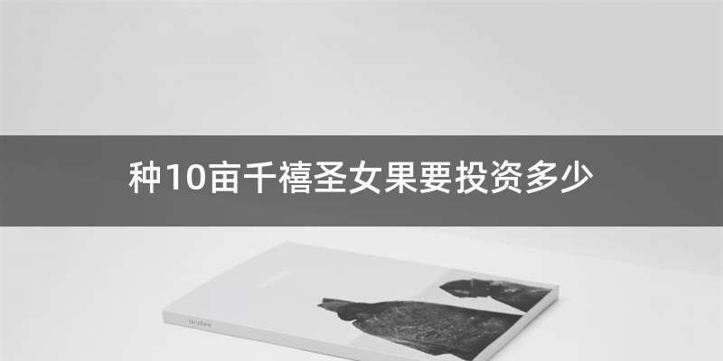 种10亩千禧圣女果要投资多少
