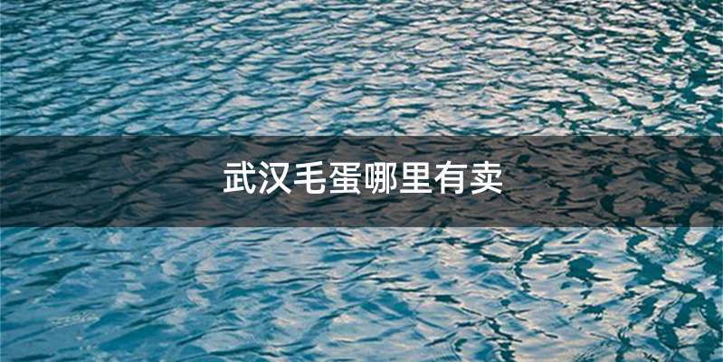 武汉毛蛋哪里有卖