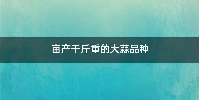 亩产千斤重的大蒜品种