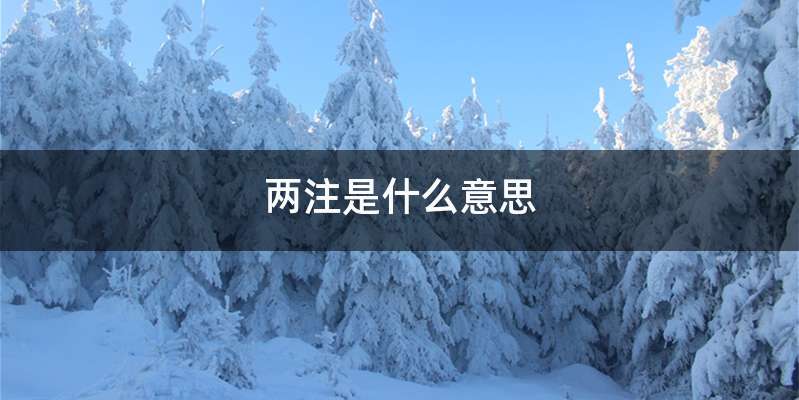 两注是什么意思