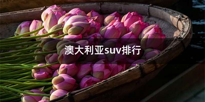 澳大利亚suv排行