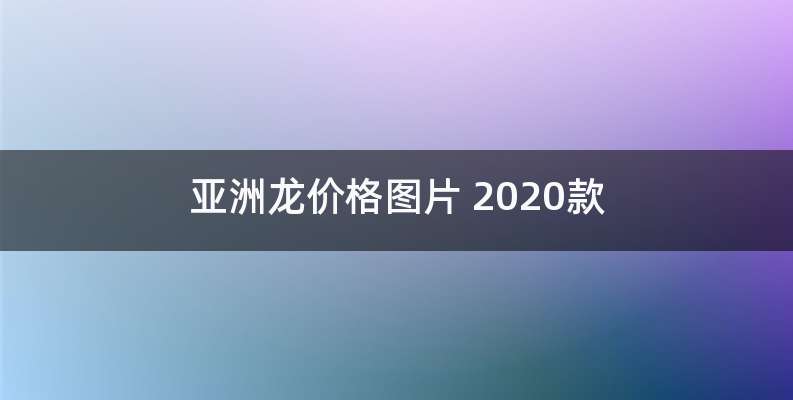 亚洲龙价格图片 2020款