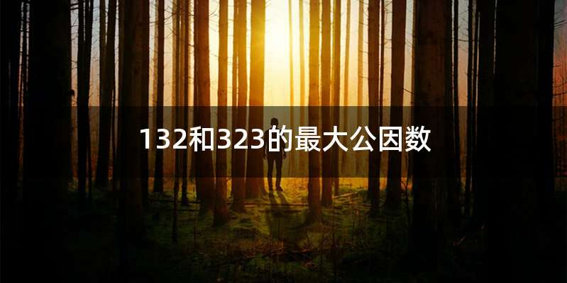 132和323的最大公因数