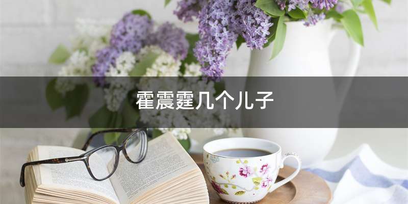 霍震霆几个儿子