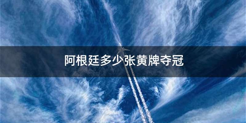 阿根廷多少张黄牌夺冠