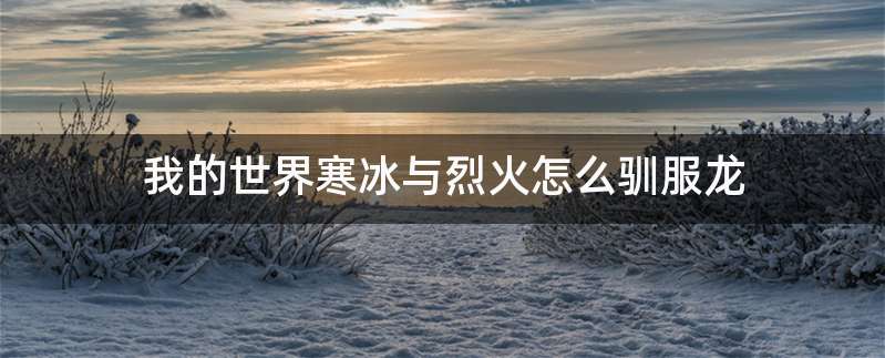 我的世界寒冰与烈火怎么驯服龙