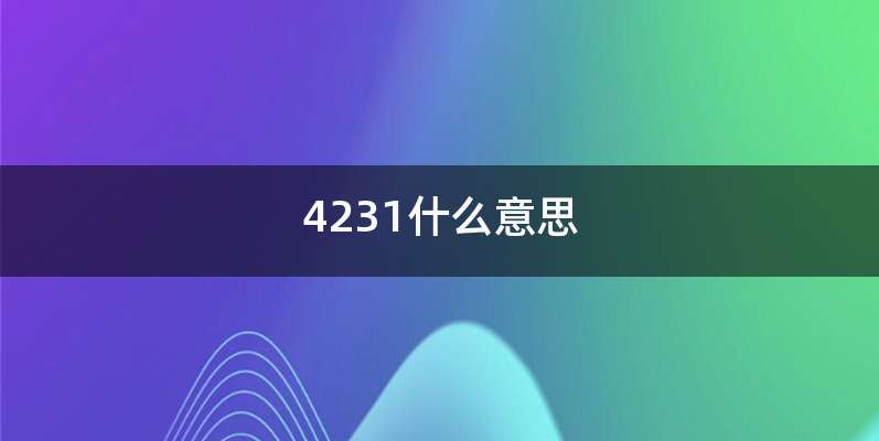 4231什么意思