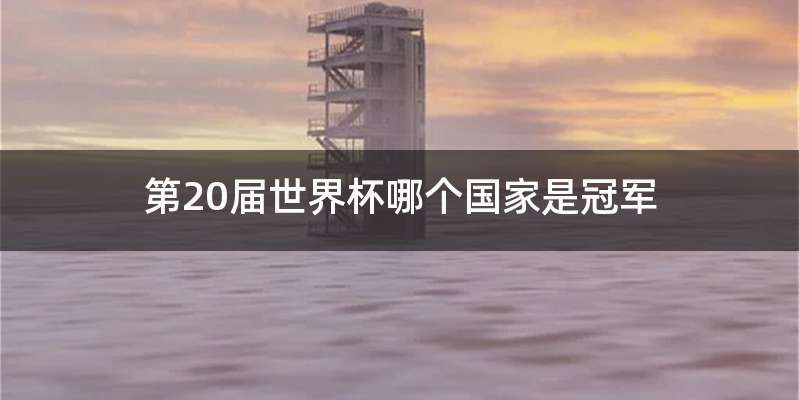 第20届世界杯哪个国家是冠军