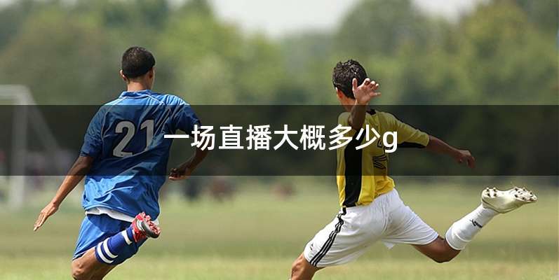 一场直播大概多少g