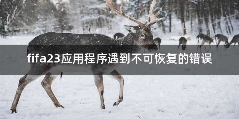 fifa23应用程序遇到不可恢复的错误