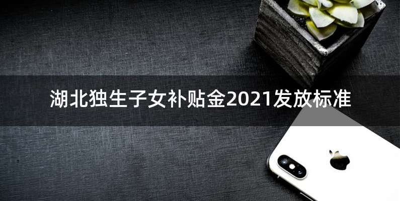 湖北独生子女补贴金2021发放标准