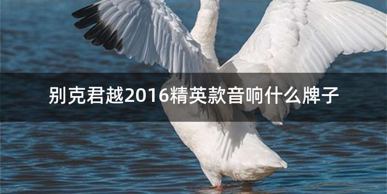 别克君越2016精英款音响什么牌子