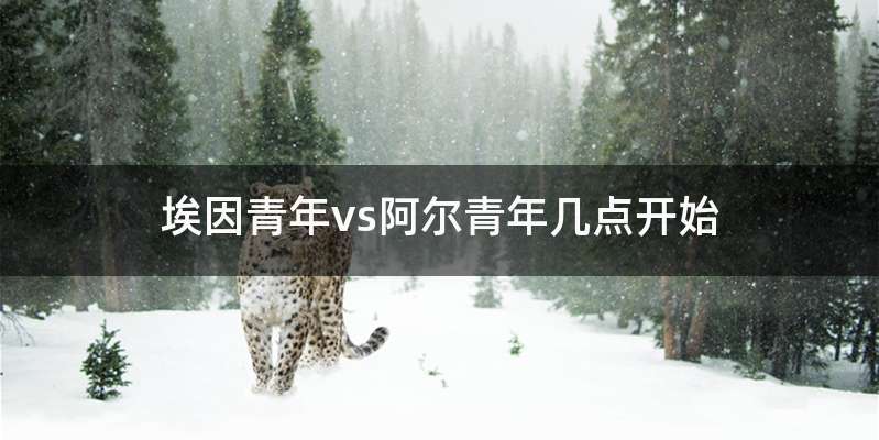 埃因青年vs阿尔青年几点开始