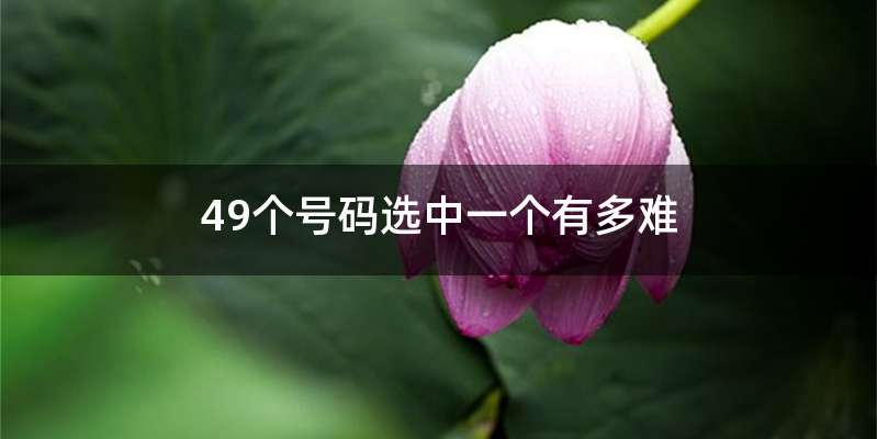 49个号码选中一个有多难