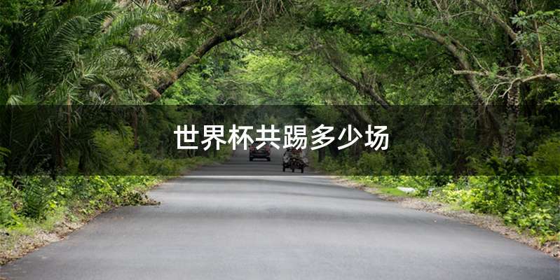 世界杯共踢多少场