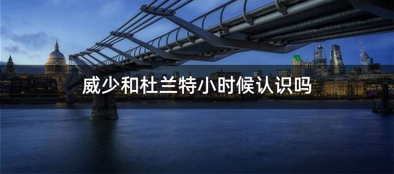 威少和杜兰特小时候认识吗