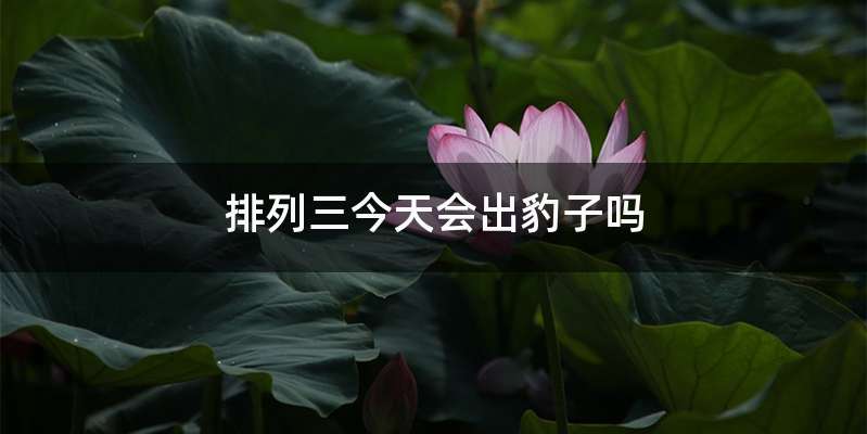 排列三今天会出豹子吗