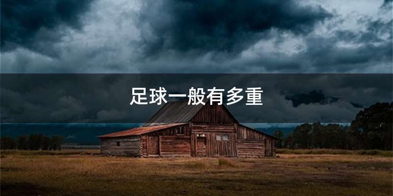 足球一般有多重