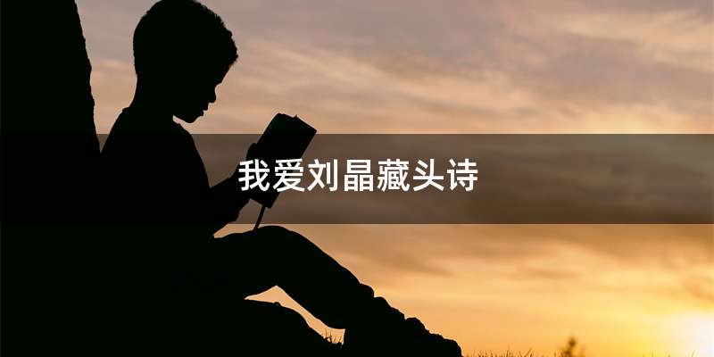 我爱刘晶藏头诗