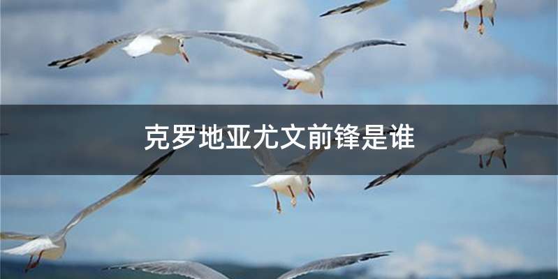 克罗地亚尤文前锋是谁