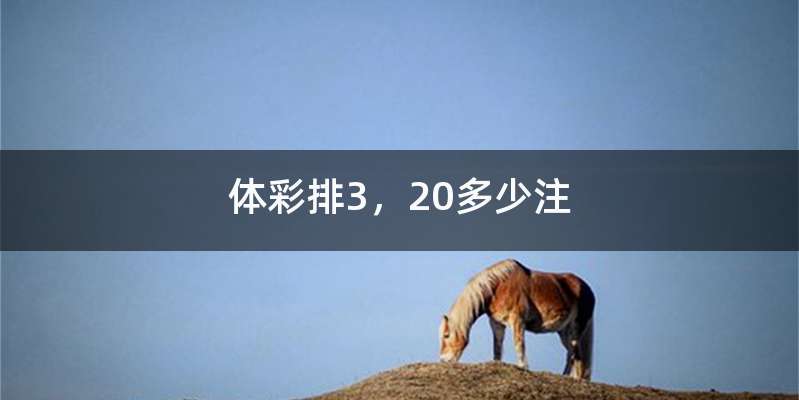 体彩排3，20多少注